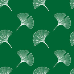 Seamless pattern with leaves. Ginkgo biloba leaves background. Hand drawn white vector illustration on green background