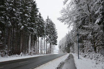 Verschneiter Winterwald mit Straße und schneebedeckten Feldern