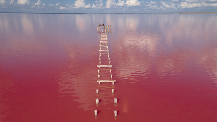 Amazing panoramic landscape of beautiful salt plains. pink lake with wooden weathered trunks....