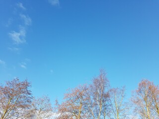 The sky is blue