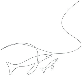 Whales animal on sea. Vector illustration