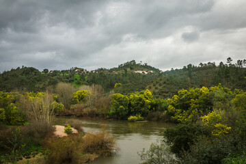 River with beautiful yellow mimosa vegetation in a winter day. Zezere river in Portugal