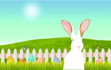 Banner with Bunny, eggs, fence, green grass, fence on nature background