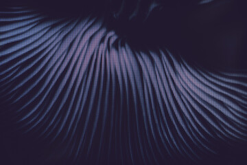 Close up beautiful bunch mushrooms color light. Macro  photography view. Close-up of pixel.