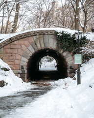  winter in Central Park New York after snow storm. Inscope Arch