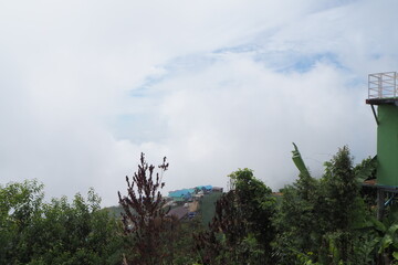 Obraz premium Mountain and fog at Phu Tab Berk, Petchaboon, Thailand.