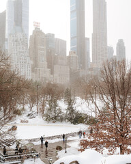  winter, in Central Park New York after snow storm