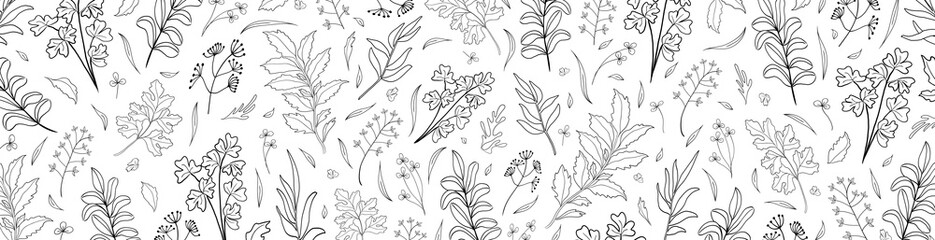 Floral vector banner with leaves, plants for greeting card. Abstract natural elements in doodle style. Silhouette of plant. Print for holiday background, template. Minimalistic, trendy design.
