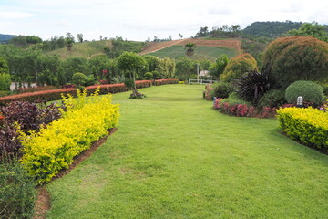 Nature at Khao koh, Petchaboon, Thailand.