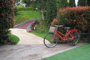 Fototapeta premium Coffee shop and nature at Khao koh, Petchaboon, Thailand.