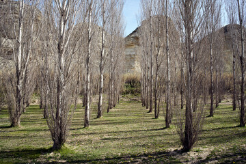 Galacho de Juslibol, unique and singular ecosystem, a protected natural area located next to the Ebro river.