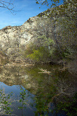 Galacho de Juslibol, unique and singular ecosystem, a protected natural area located next to the Ebro river.
