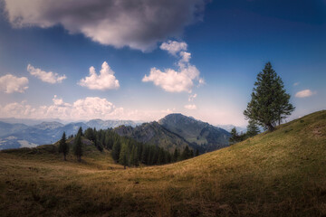 Fototapeta na wymiar Blick vom Steineberg zum Berggipfel Stuiben auf der Nagelfluhkette in den Allgäuer Alpen
