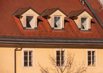 The facade of an old house in slovenia