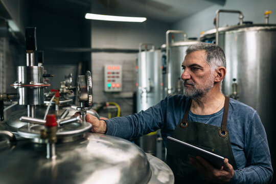 brewer working in his craft beer brewery. examine the fermentation of beer