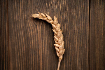 An ear of wheat on a wooden table