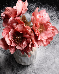 Tender bouquet of pink flowers in white vase on black background. Interior floral decor. Winter concept, snowy background. Valentines day or Christmas gift idea.