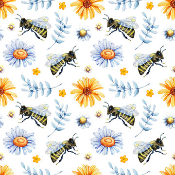 Digital paper seamless pattern with bee wasp, bumblebee, honey, field herbs, chamomile, calendula. Hand drawn watercolor illustration isolated on white background