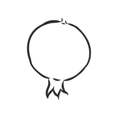 fruit pomegranate set hand drawn vector illustration realistic sketch. garnet vector sketch illustration