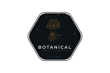 Minimal feminine modern botanical floral organic natural abstract geranium classical floral logo design