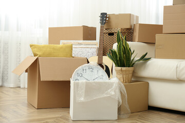 Cardboard boxes, potted plants and household stuff indoors. Moving day