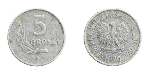 Polish five groszy coin on a white isolated background