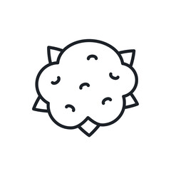 Cauliflower icon. Vector linear icon, contour, shape, outline isolated on a white background. Thin line. Modern minimalistic design. Vegetables