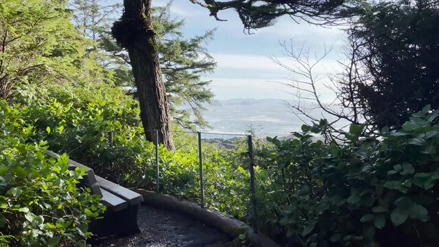 Wild Pacific Trail 010