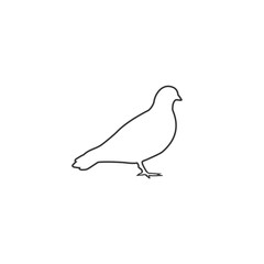 Vector pigeon silhouette line icon on white