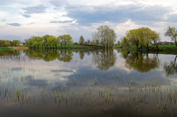 Fototapeta na wymiar Spring landscape with a lake with clouds reflecting in it against the background of the village.
