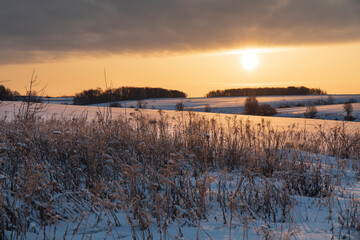 beautiful snow-covered fields with trees in the background