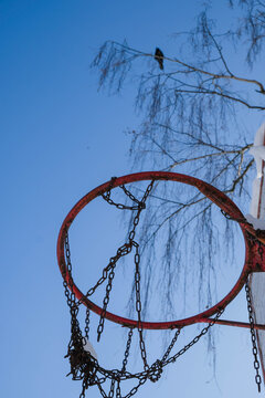 Basketball hoop on blue. Success concept. Close up. Copy space. Vertical image.