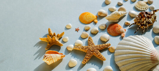 Fototapeta na wymiar flat lay travel, a beautiful background of many small seashells and starfish with a copy of the space