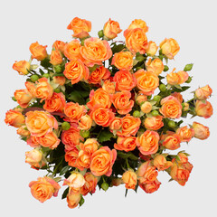 Bunch of a beautiful light orange tea roses