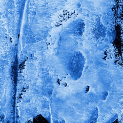 Blue ink and watercolor frost texture on white paper background. Paint leaks and decalcomania effects. Hand-painted gouache abstract image. Mess on the canvas.