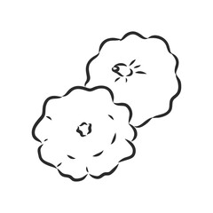 Vector illustration doodle sketch hand-drawn patisson. Isolated on white background. The concept of harvesting. Vintage retro style. Yellow ripe large squash. patisson, vector sketch illustration