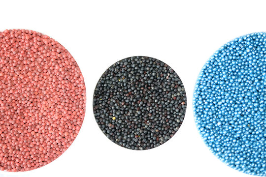 Red and blue neonicotinoid seed treatment in rapeseed or canola seeds, harmful to bees , ban neonicotinoids. Chemically treated seeds and black rapeseed seeds without seed treatment.