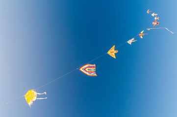 Aquiloni nel cielo