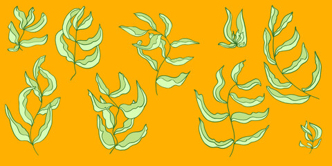 Vector set isolated elements with leaves. Simple vector drawing. Manual graphics. Stylish vintage illustration. Designer wallpapers, fabrics, postal packaging.