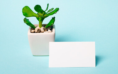 On a light blue background, a plant in a pot and a white blank card to insert text or illustration. Template