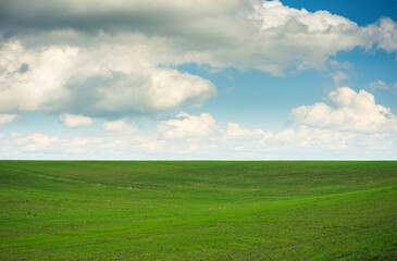 Summer green field. Green hills