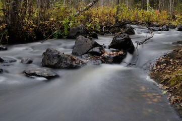 Long exposure, blurry water effect. Atmospheric forest landscape with rapids on powerful mountain river between rocks with mosses, trees and wild vegetations. Big boulders in blurred power water