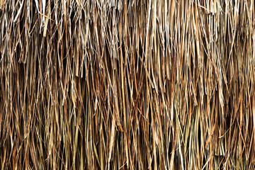 The thatched roof texture or background