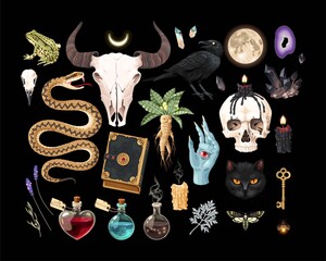Vector high detailed black magic supplies set © olga_igorevna
