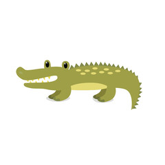 Alligator