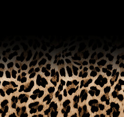 Seamless leopard pattern, leopard texture, animal print