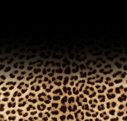 Seamless leopard pattern, leopard texture, animal print