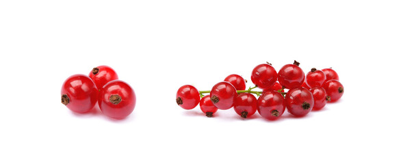  Fresh red currant isolated on white background