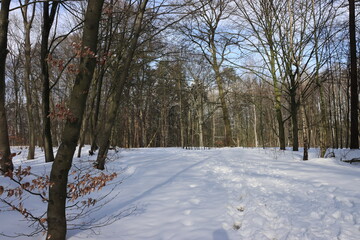 Traumhafte Winterlandschaft