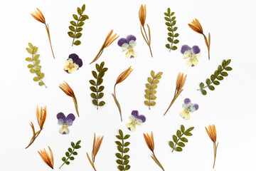 Natural dried flowers pattern on white bakground